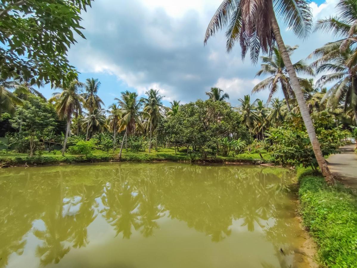 Peacock Village Pinnawala - Offer Alert! Elephant Welfare Program Exterior photo