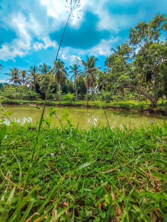 Peacock Village Pinnawala - Offer Alert! Elephant Welfare Program Exterior photo