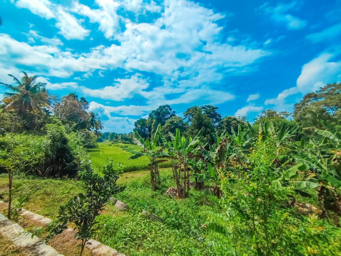 Peacock Village Pinnawala - Offer Alert! Elephant Welfare Program Exterior photo