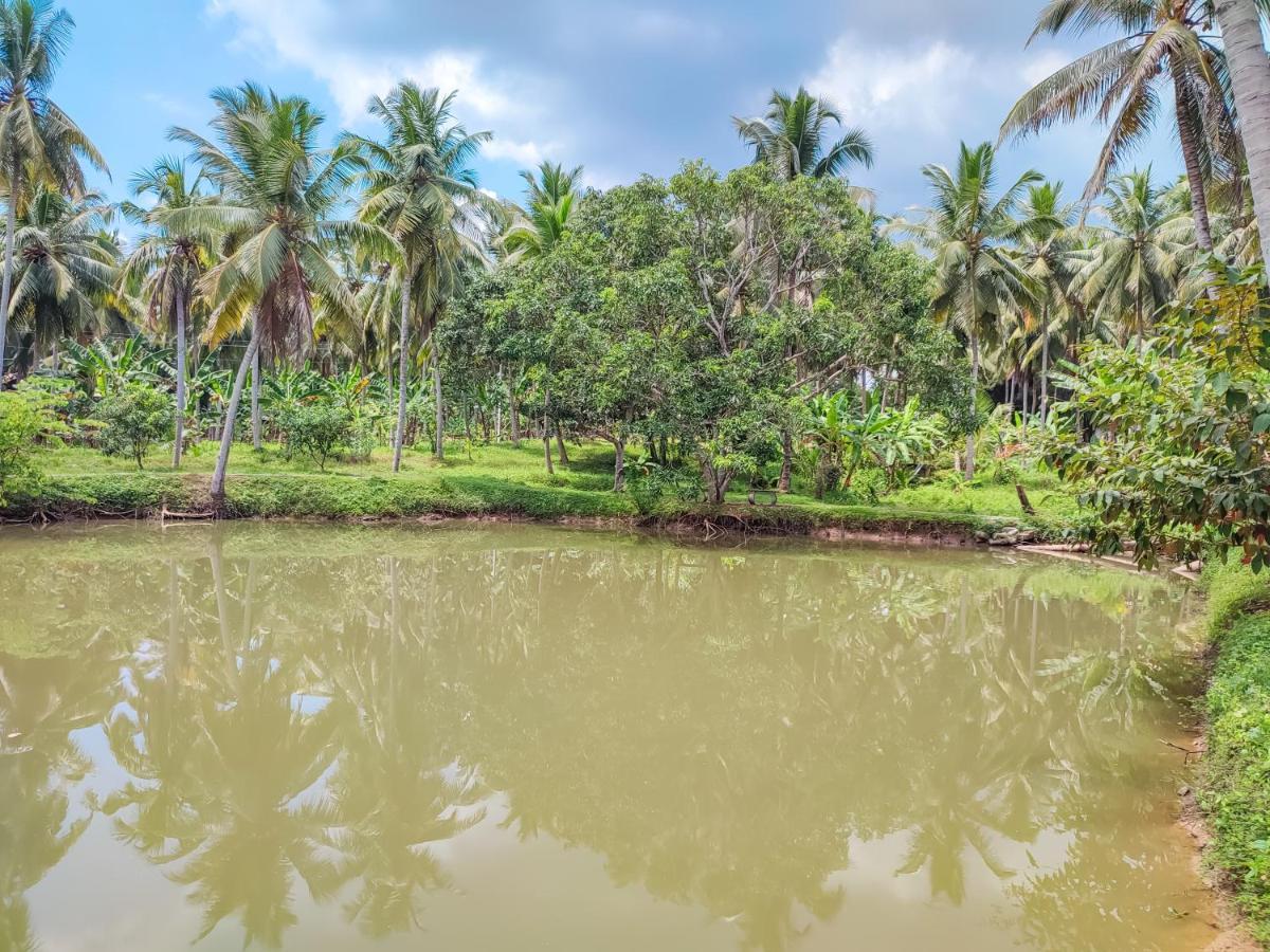 Peacock Village Pinnawala - Offer Alert! Elephant Welfare Program Exterior photo