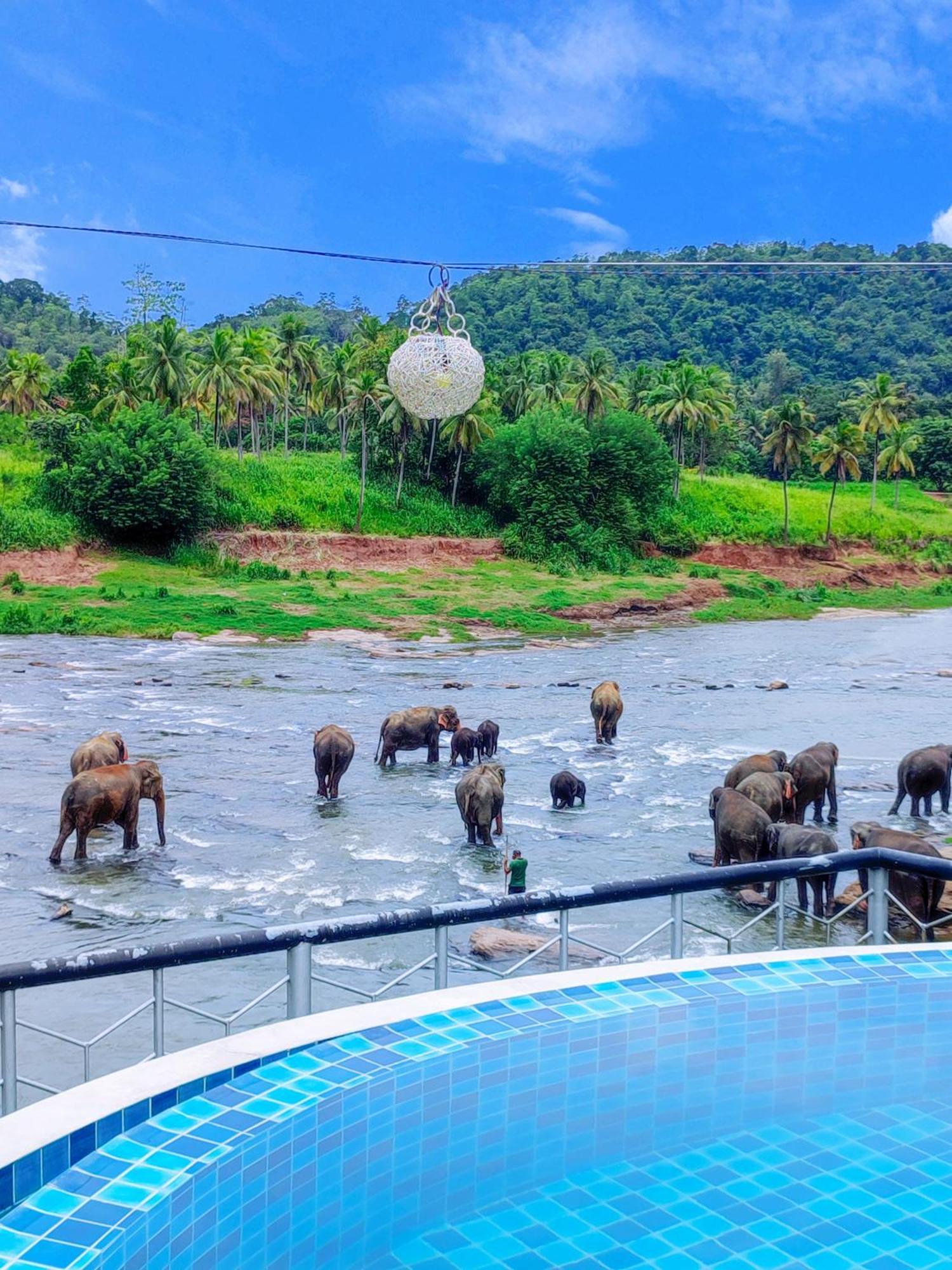Peacock Village Pinnawala - Offer Alert! Elephant Welfare Program Exterior photo